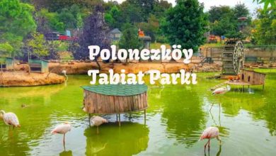 polonezköy tabiat parkı